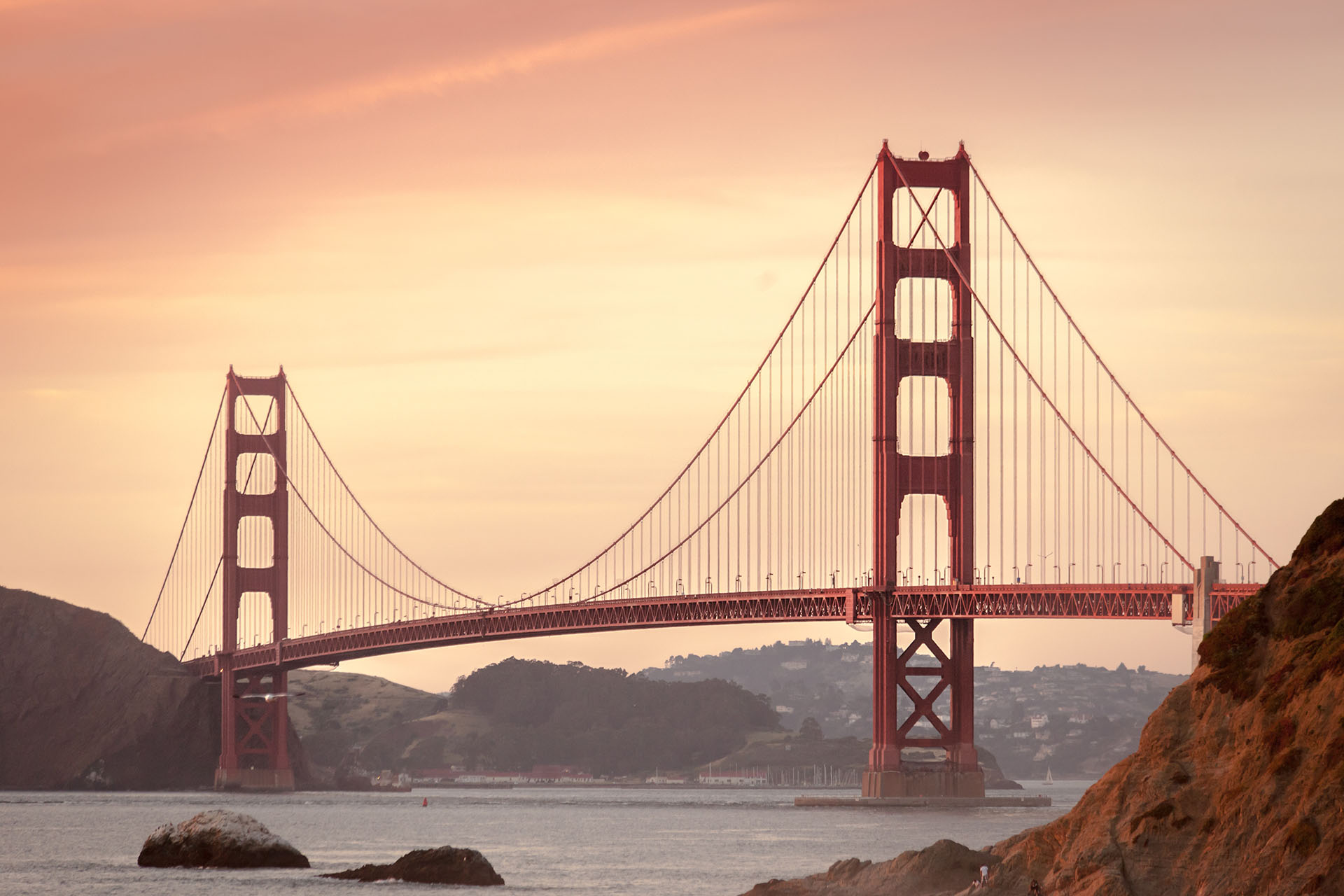 DSA SF Announces Endorsements for June 5, 2018 Election
