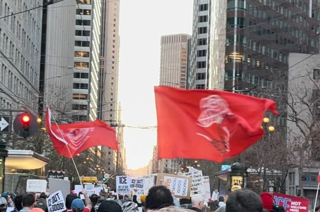 Picture of DSA flags waving at protest 